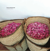 'Arabian Aromas' coffee table book
